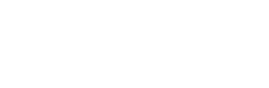 Autoinsp